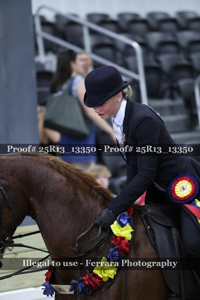 Proof 25R13_13350