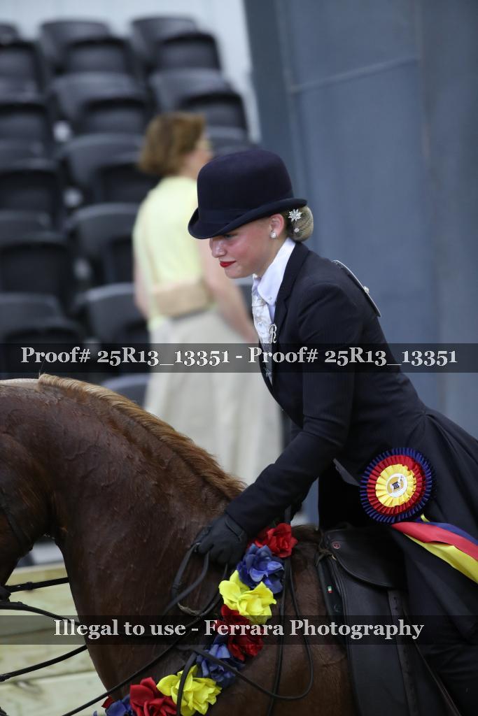 Proof 25R13_13351