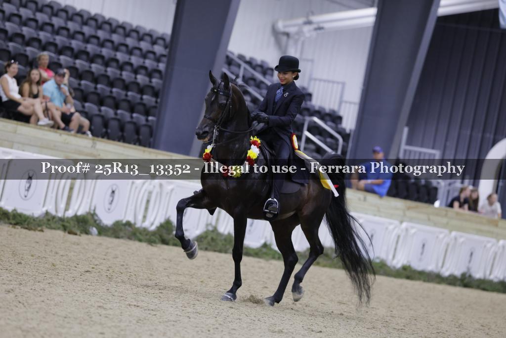 Proof 25R13_13352