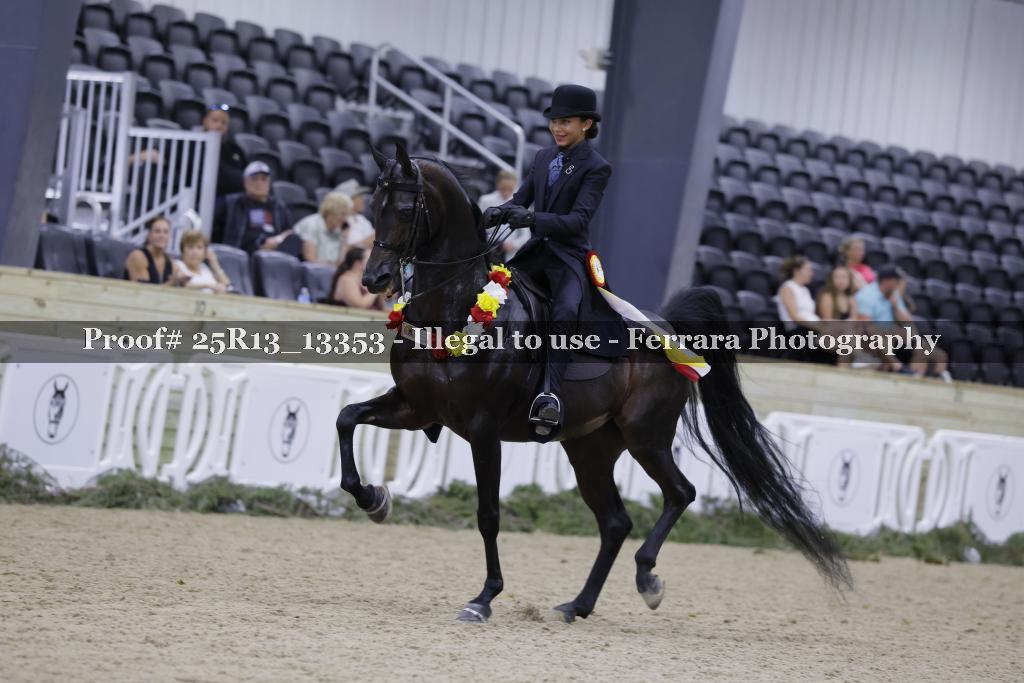 Proof 25R13_13353
