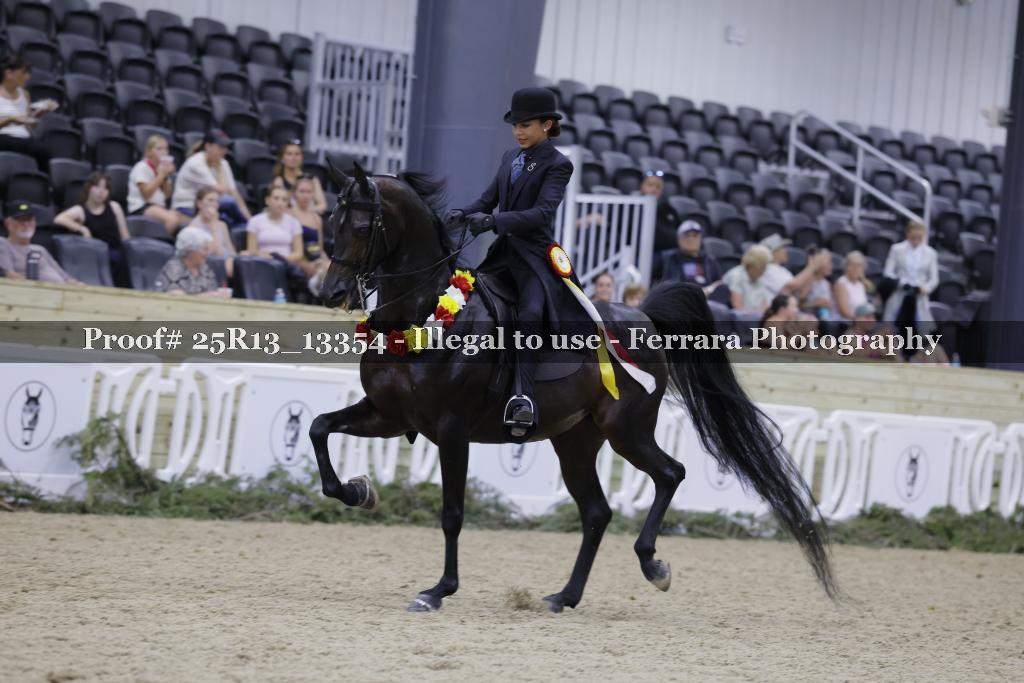 Proof 25R13_13354
