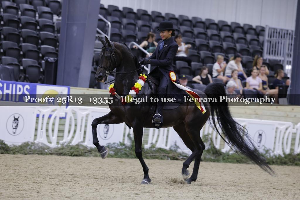 Proof 25R13_13355