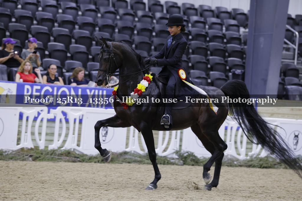 Proof 25R13_13356
