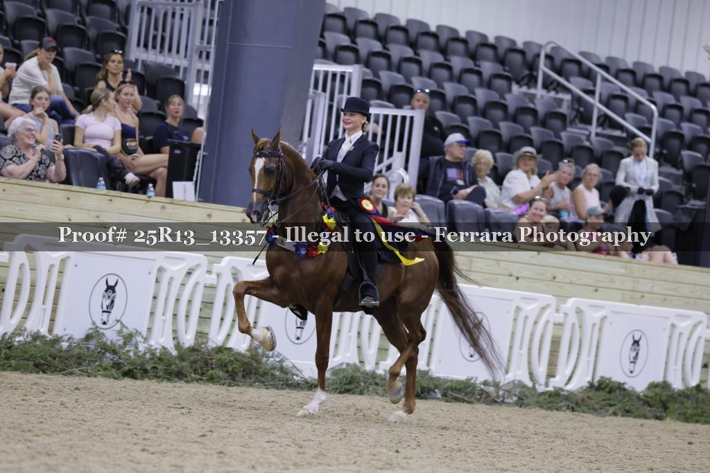Proof 25R13_13357