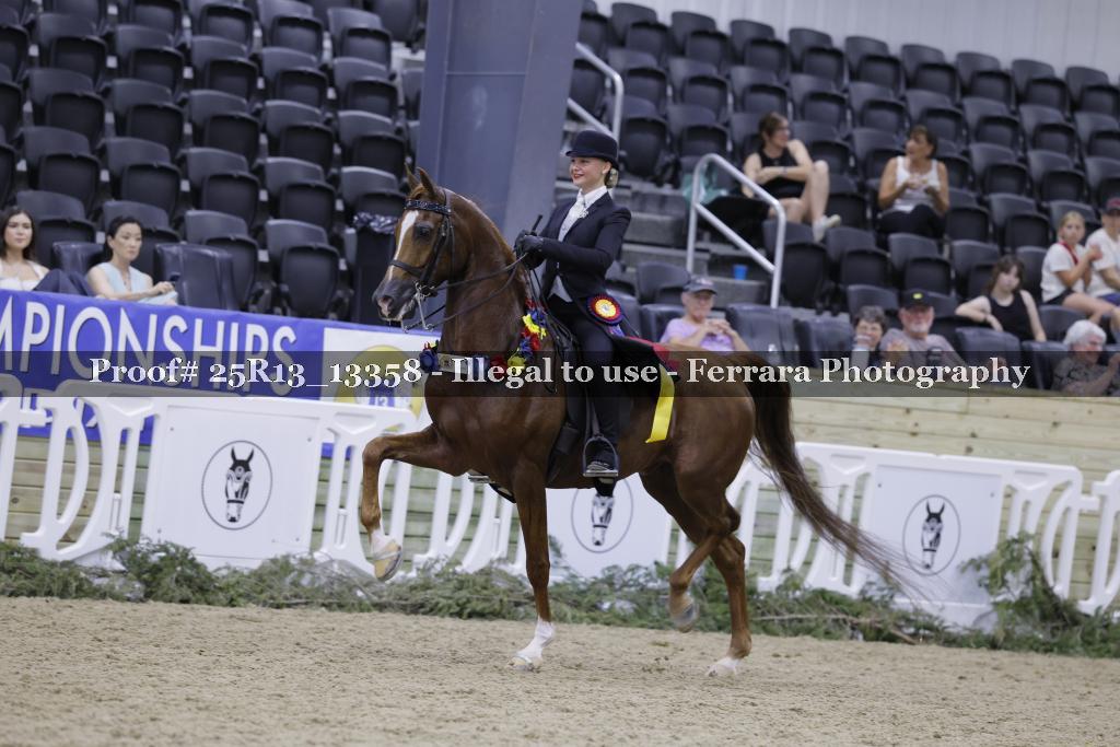 Proof 25R13_13358