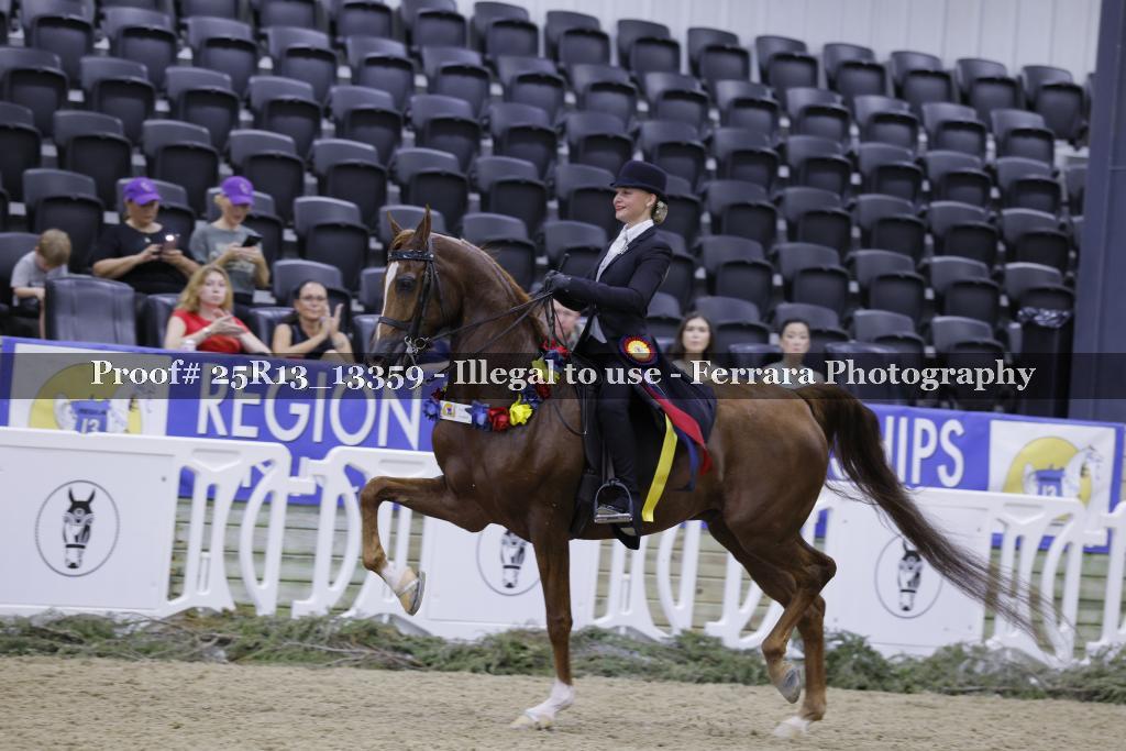 Proof 25R13_13359