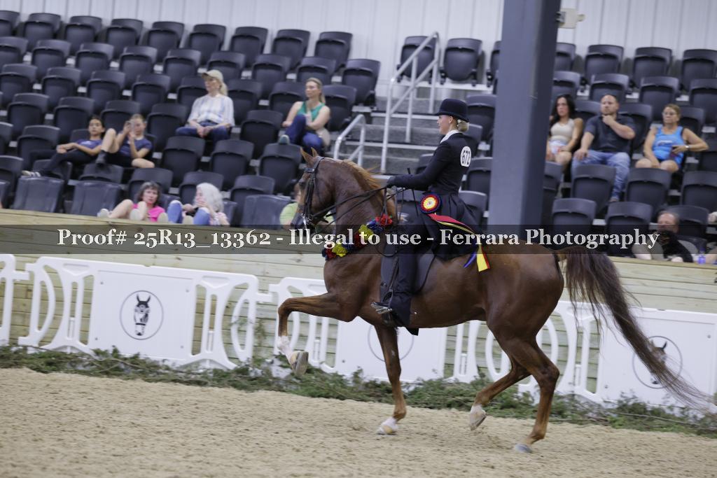Proof 25R13_13362