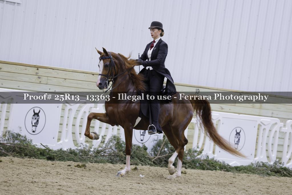 Proof 25R13_13363