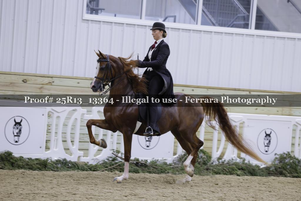 Proof 25R13_13364