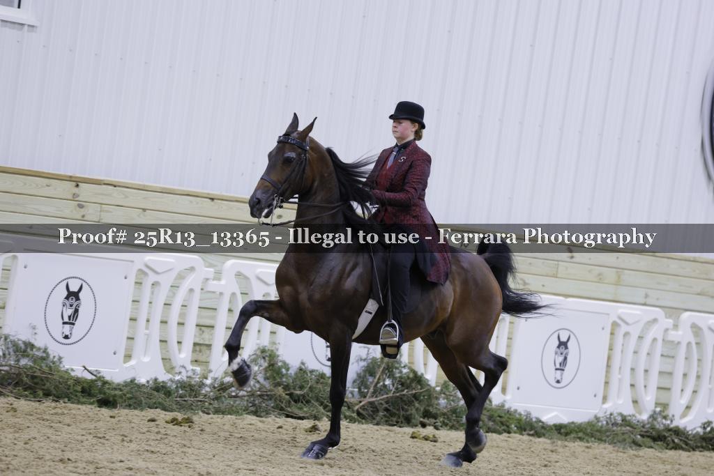 Proof 25R13_13365