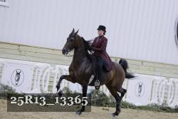 25R13_13365 proof