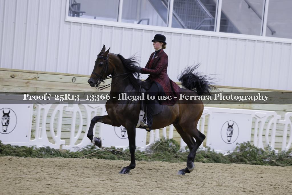 Proof 25R13_13366