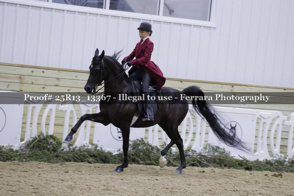 Proof 25R13_13367