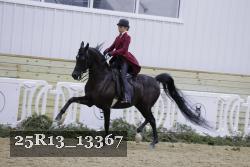 25R13_13367 proof