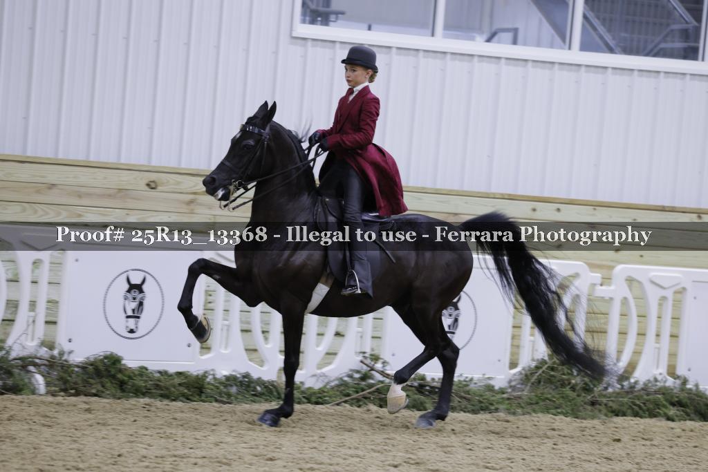 Proof 25R13_13368