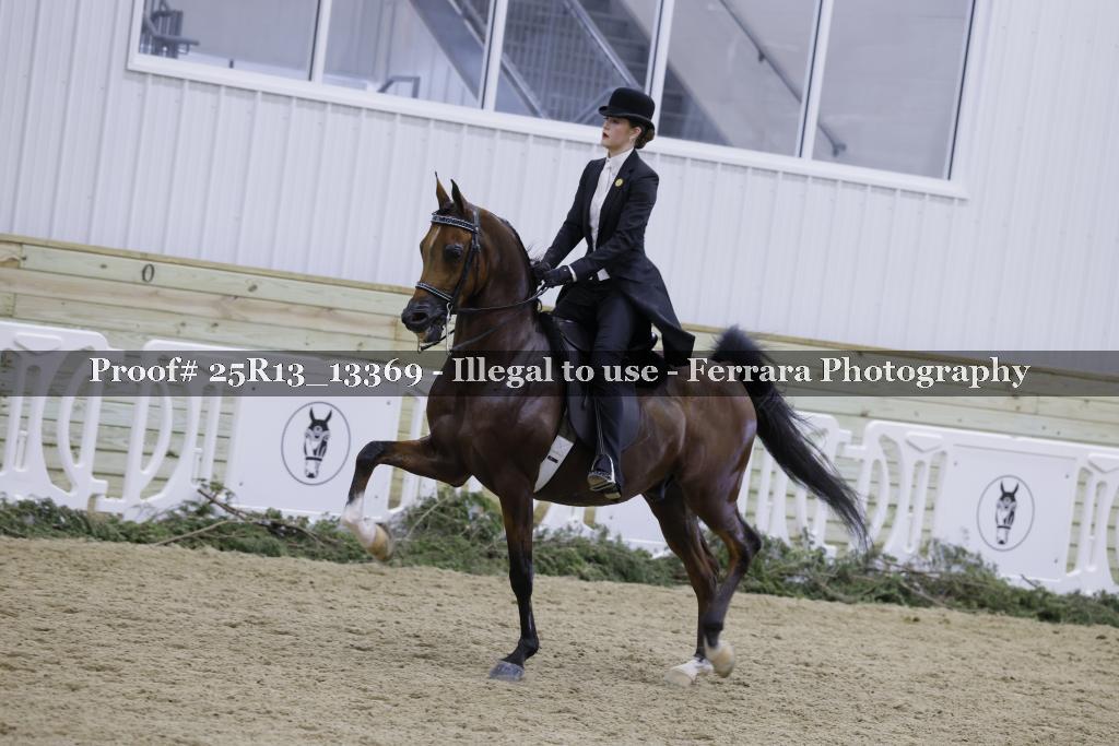 Proof 25R13_13369