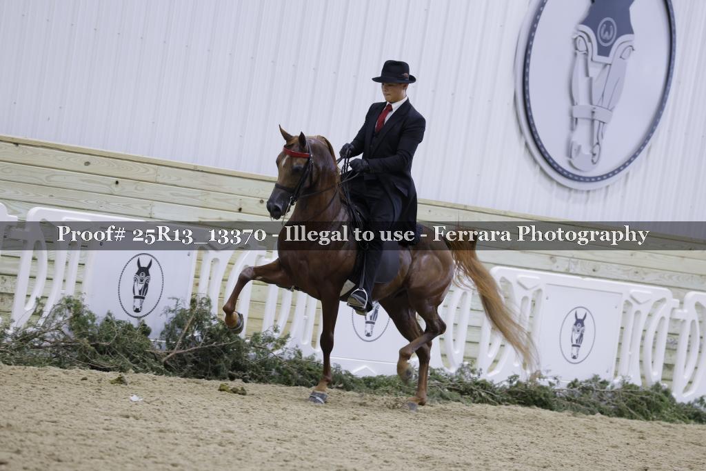Proof 25R13_13370