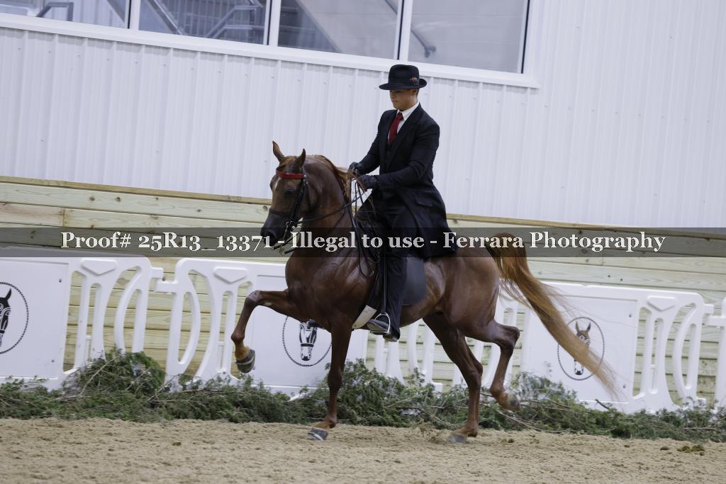 Proof 25R13_13371