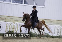 25R13_13371 proof