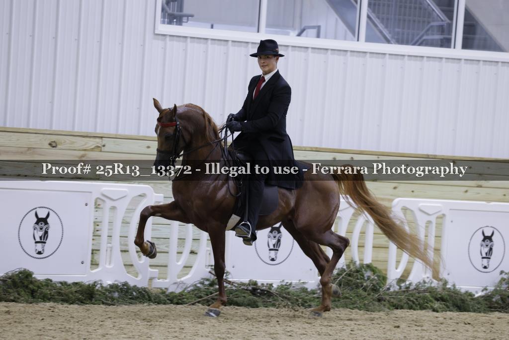 Proof 25R13_13372