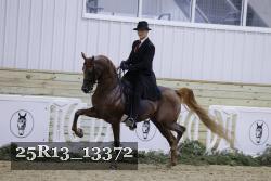 25R13_13372 proof