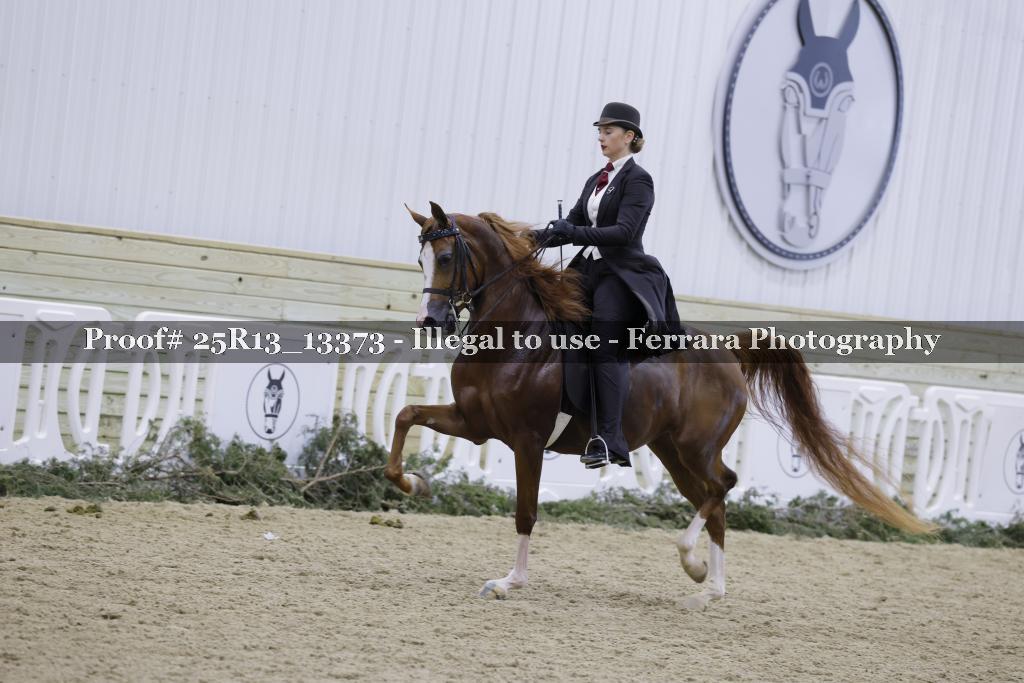 Proof 25R13_13373