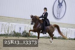 25R13_13373 proof