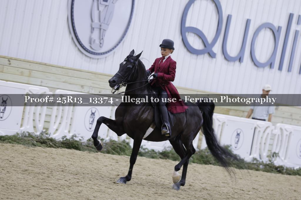 Proof 25R13_13374