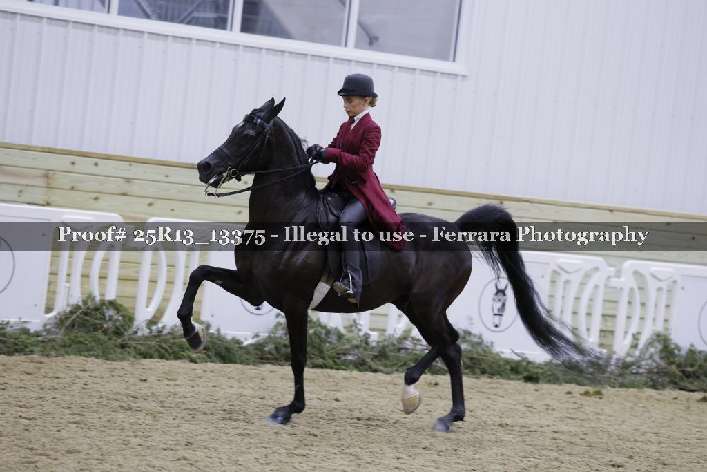 Proof 25R13_13375