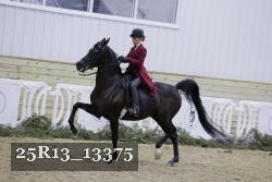 25R13_13375 proof