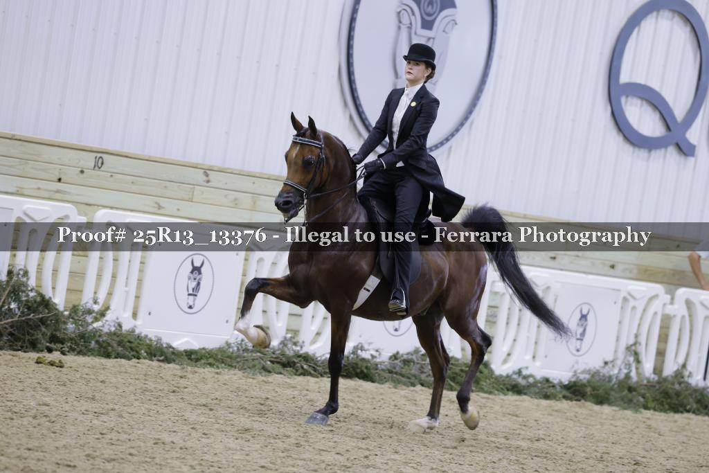 Proof 25R13_13376