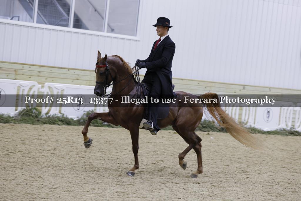 Proof 25R13_13377