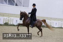 25R13_13377 proof