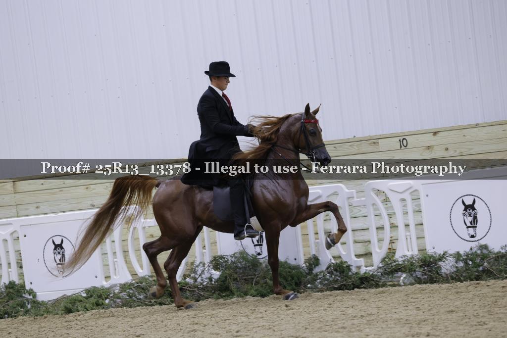 Proof 25R13_13378