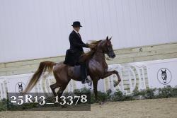 25R13_13378 proof