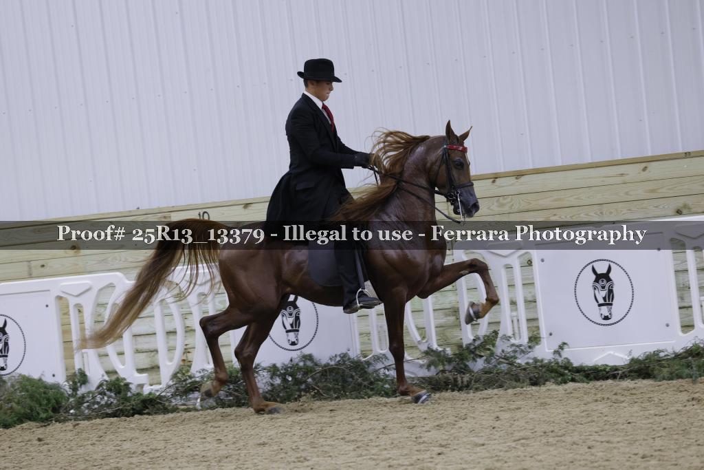 Proof 25R13_13379