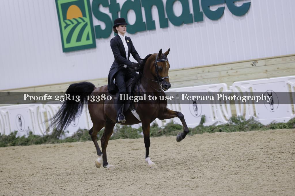 Proof 25R13_13380