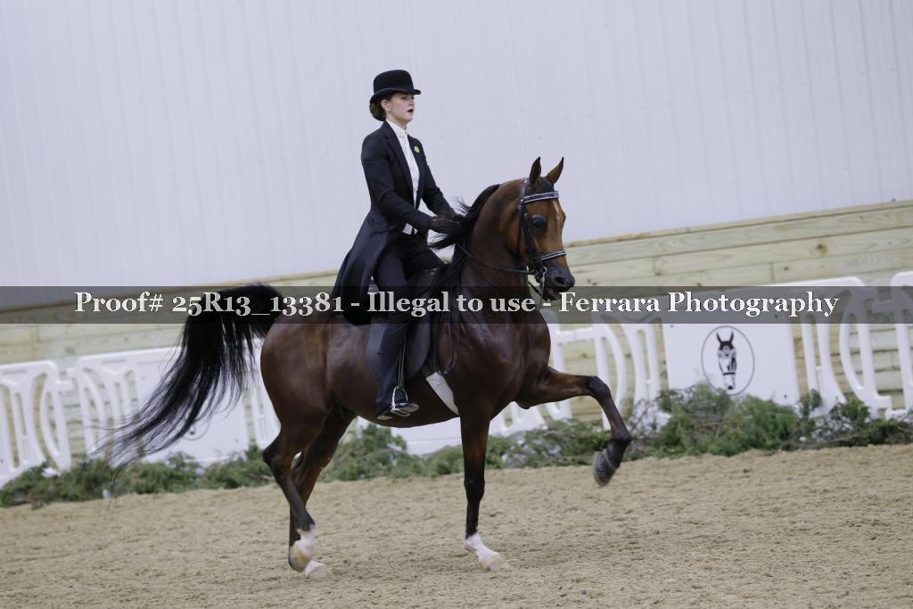 Proof 25R13_13381
