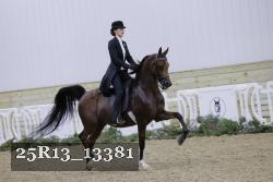 25R13_13381 proof