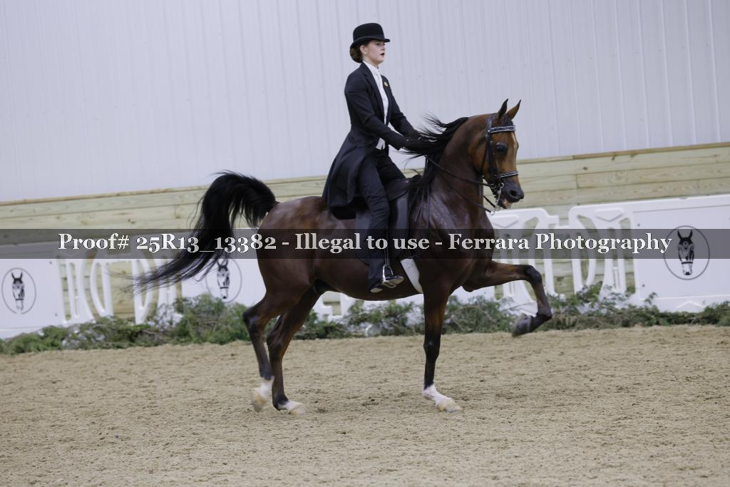 Proof 25R13_13382