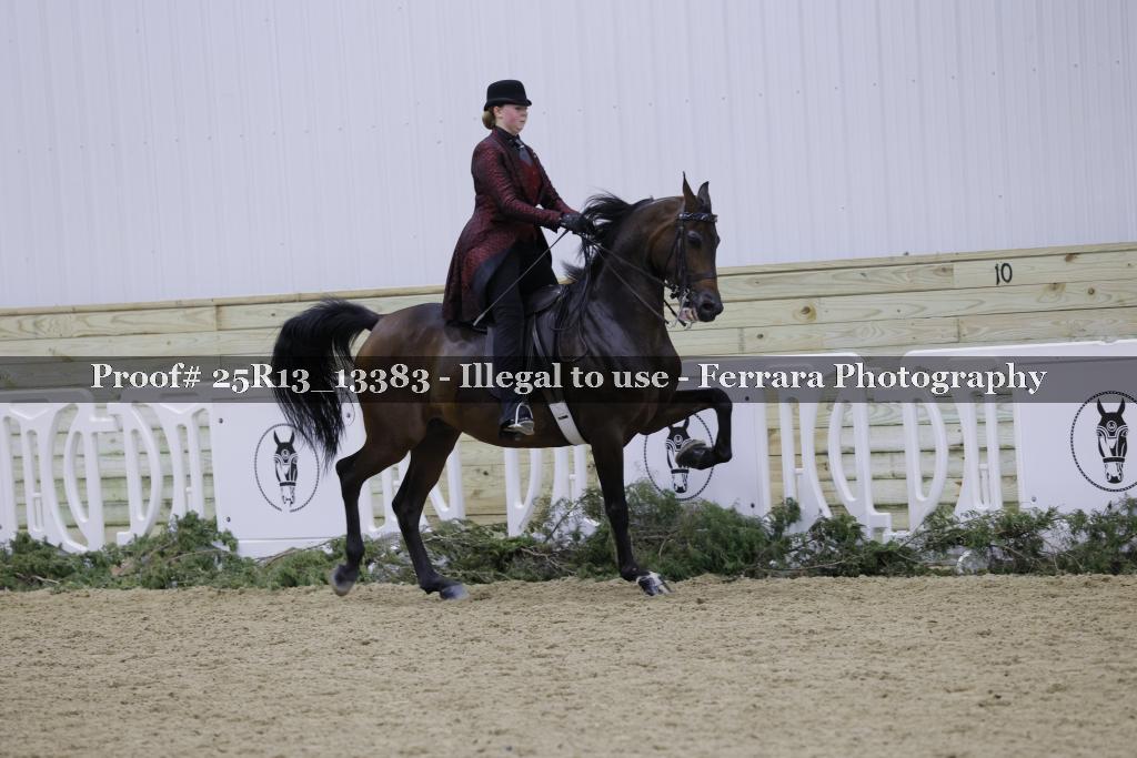 Proof 25R13_13383