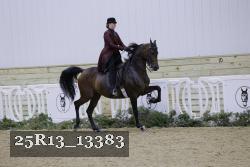 25R13_13383 proof