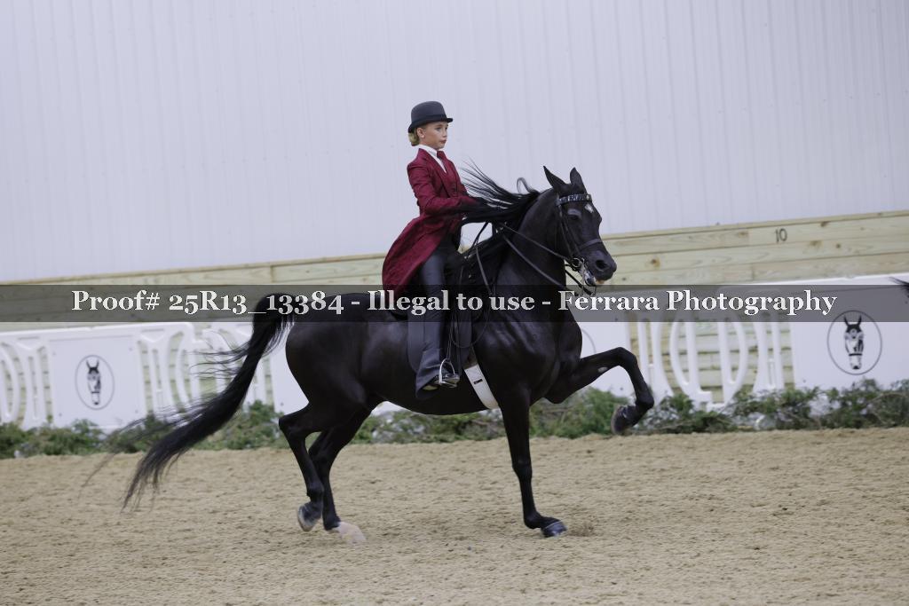 Proof 25R13_13384