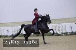25R13_13384 proof