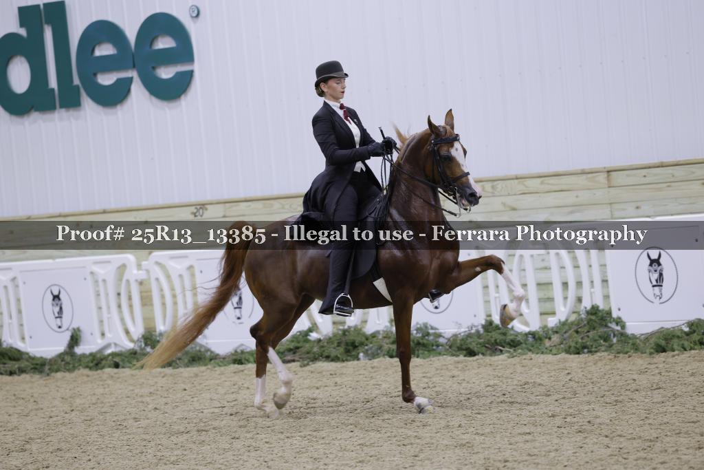Proof 25R13_13385