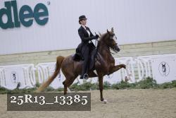 25R13_13385 proof