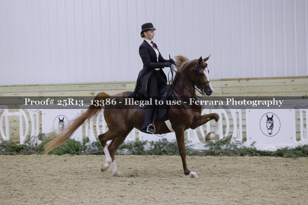 Proof 25R13_13386