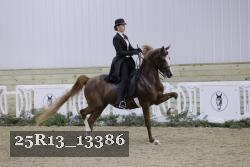 25R13_13386 proof