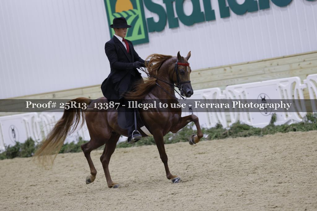 Proof 25R13_13387