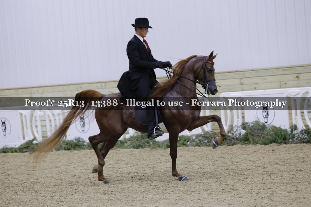Proof 25R13_13388